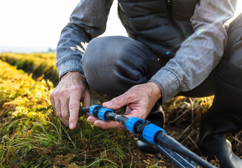 Accessibility & Comfort