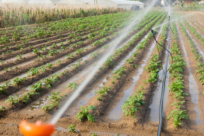 Licensed Irrigation Contractors
