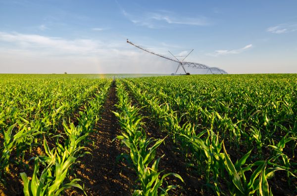 Agricultural Irrigation Repair