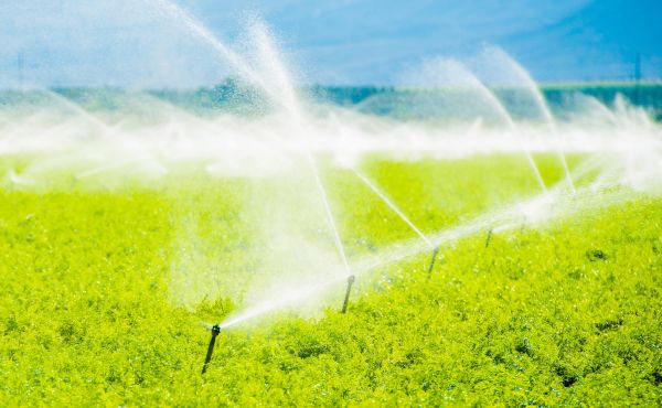 Field Irrigation System Repair