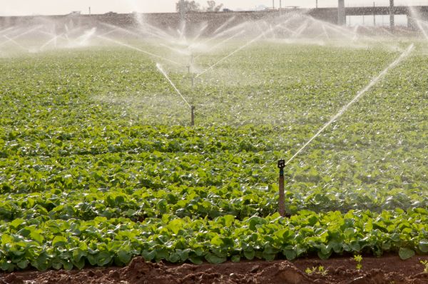 Above Ground Sprinkler Repair